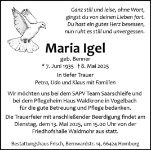 eine Anzeige